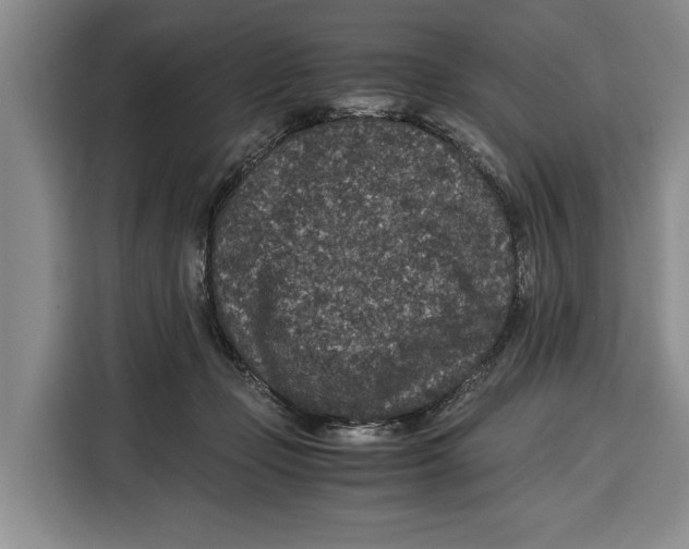 X0000115120365200911241352