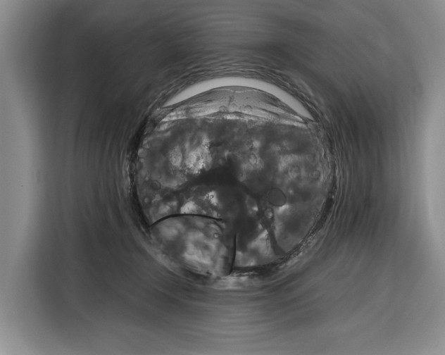 X0000115120366200911241352