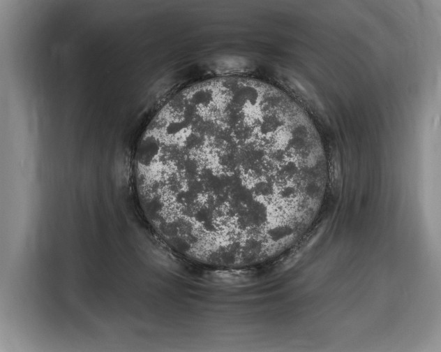 X0000115120367200911241352