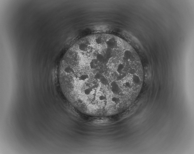 X0000115120369200911241352