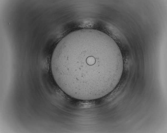 X0000115120370200911241352