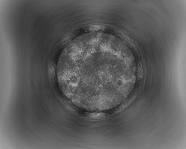 X0000115120375200911241352