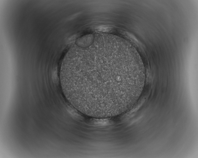 X0000115120377200911241352