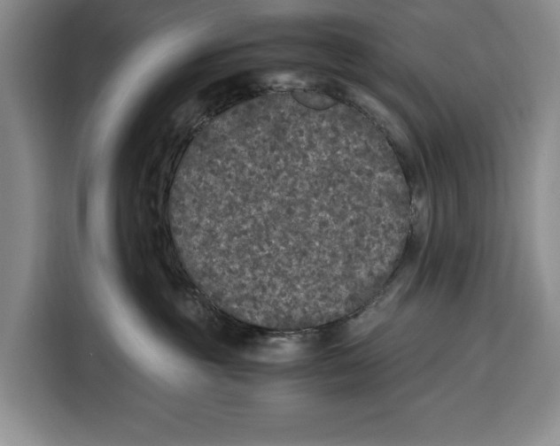 X0000115120381200911241352