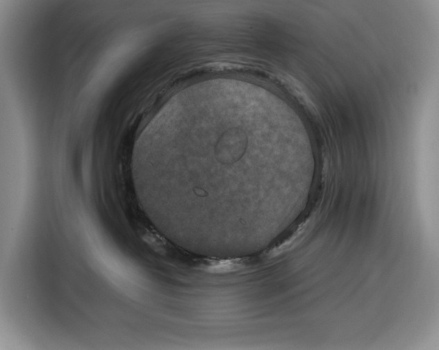 X0000115120382200911241352