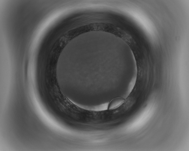 X0000115120383200911241352