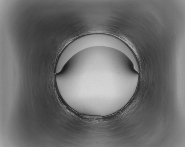 X0000115120385200911241351