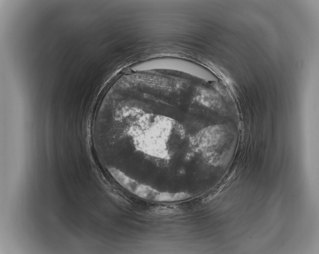 X0000115120386200911241351