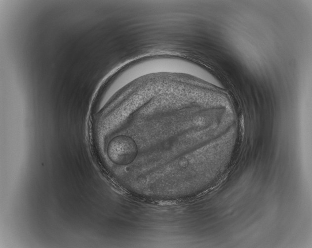 X0000115120388200911241351