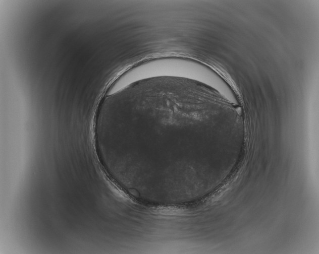 X0000115120389200911241351