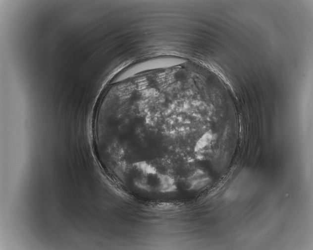 X0000115120390200911241351