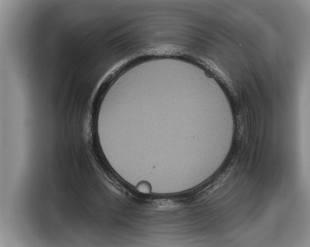 X0000115120392200911241351