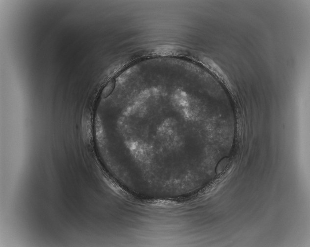 X0000115120393200911241351