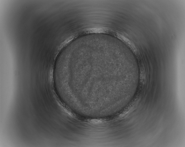 X0000115120394200911241351