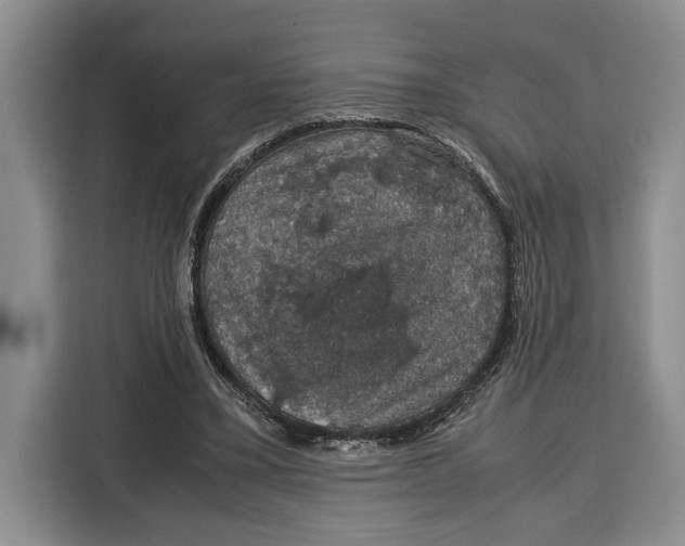 X0000115120395200911241351