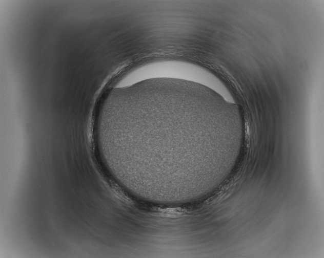 X0000115120396200911241351