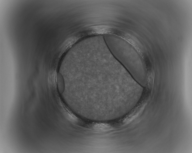 X0000115120397200911241351