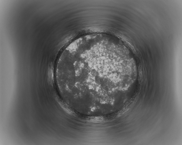 X0000115120398200911241351