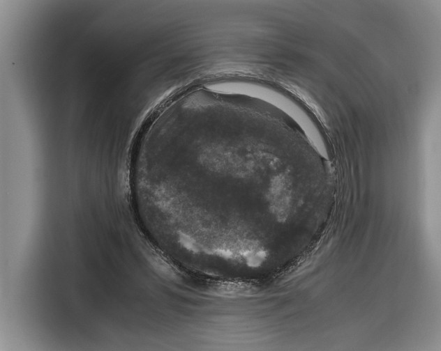 X0000115120399200911241351