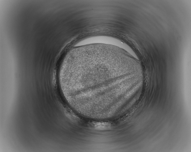 X0000115120400200911241351