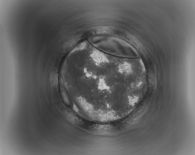 X0000115120401200911241351