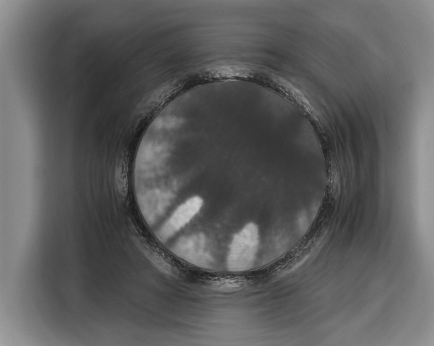 X0000115120402200911241351