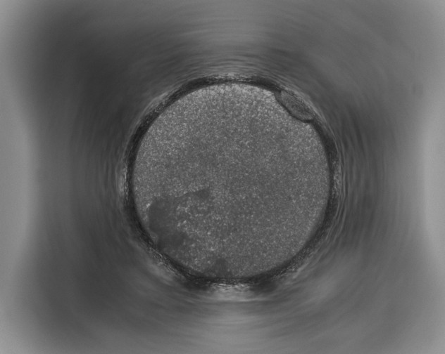 X0000115120403200911241351