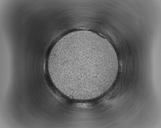 X0000115120404200911241351