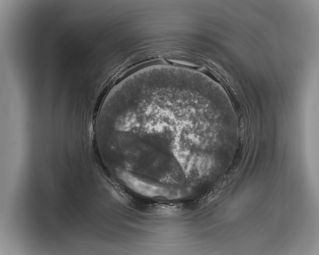 X0000115120405200911241351