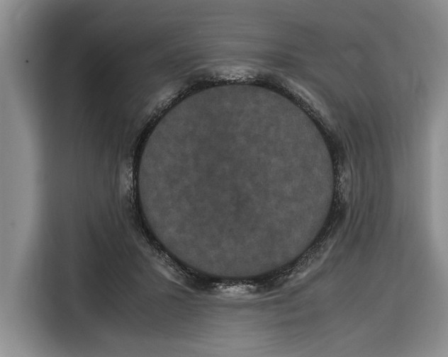 X0000115120407200911241351