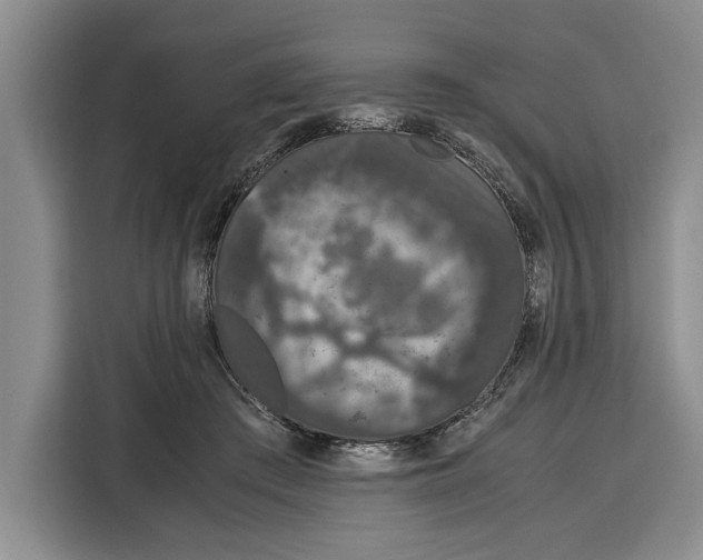 X0000115120409200911241351