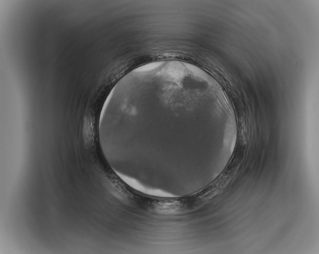 X0000115120410200911241351