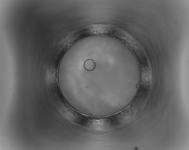 X0000115120411200911241351