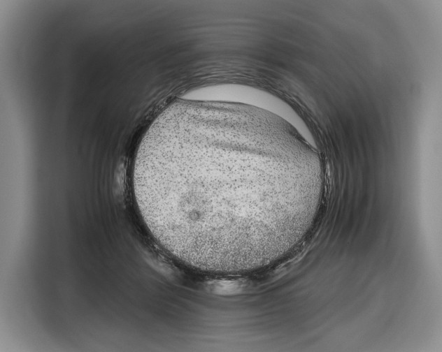 X0000115120412200911241351