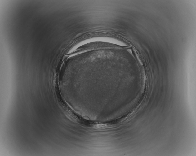 X0000115120413200911241351