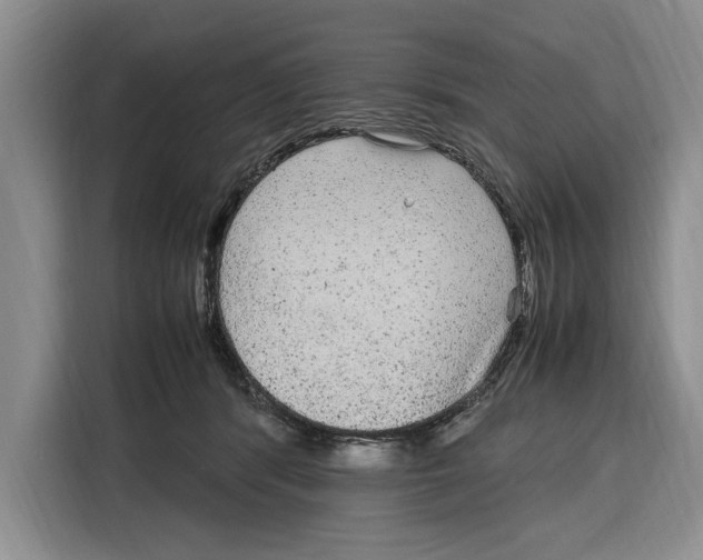 X0000115120416200911241351