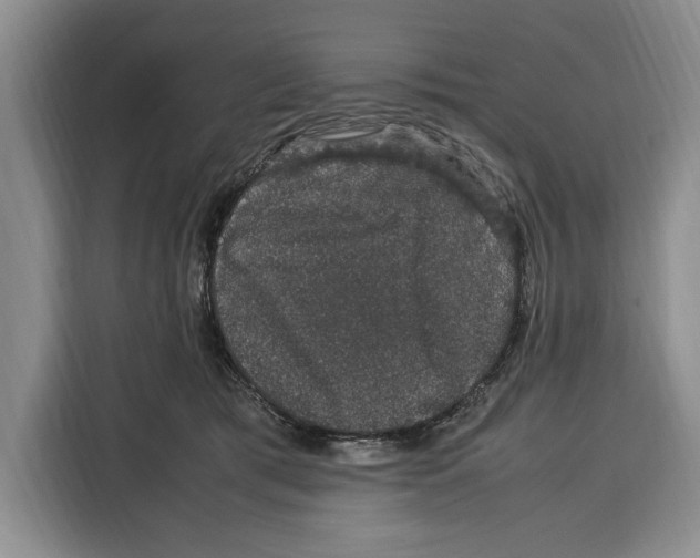 X0000115120417200911241351