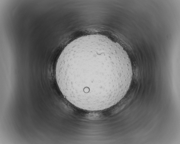 X0000115120418200911241351