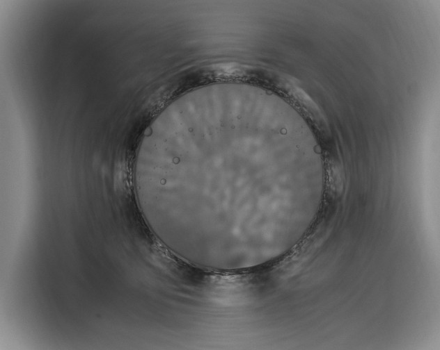 X0000115120419200911241351