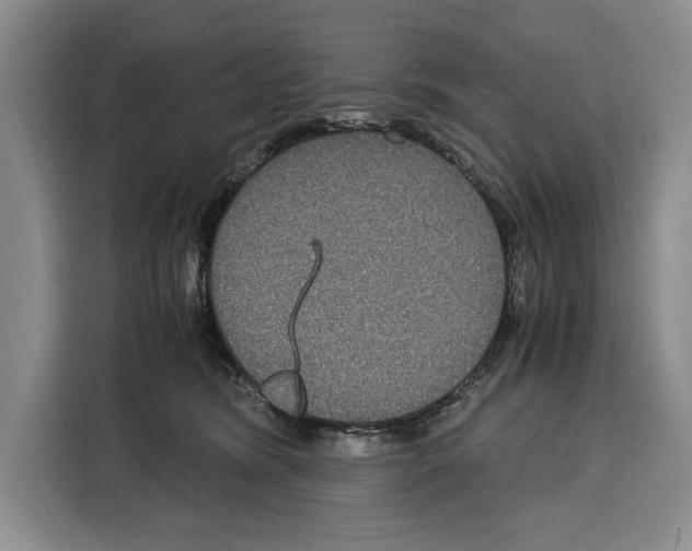 X0000115120420200911241351