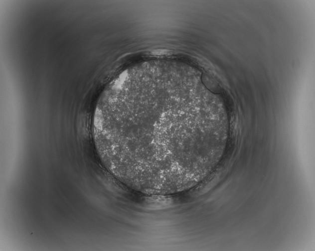 X0000115120421200911241351