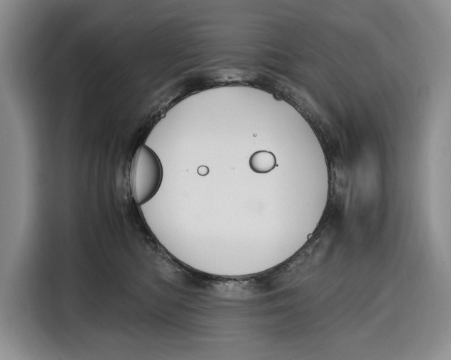 X0000115120422200911241351