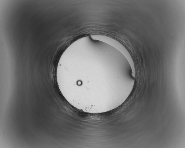 X0000115120423200911241351