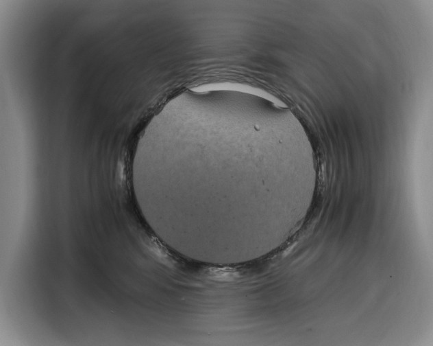 X0000115120424200911241351