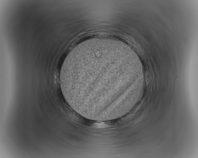 X0000115120425200911241351