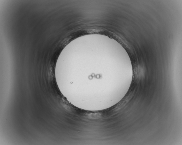 X0000115120426200911241351