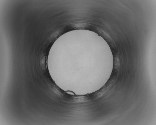 X0000115120428200911241351