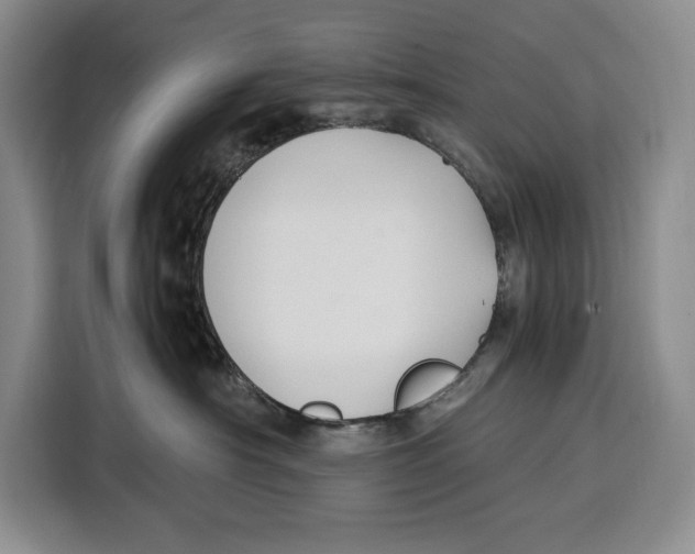 X0000115120430200911241351