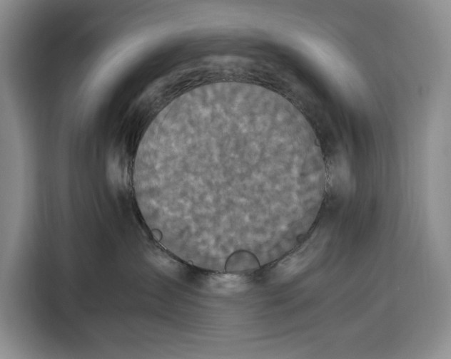 X0000115120431200911241351