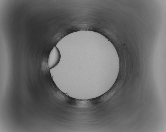 X0000115120432200911241351